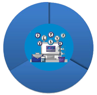 UNDERSTANDING THE CURRENCY MOVEMENTS